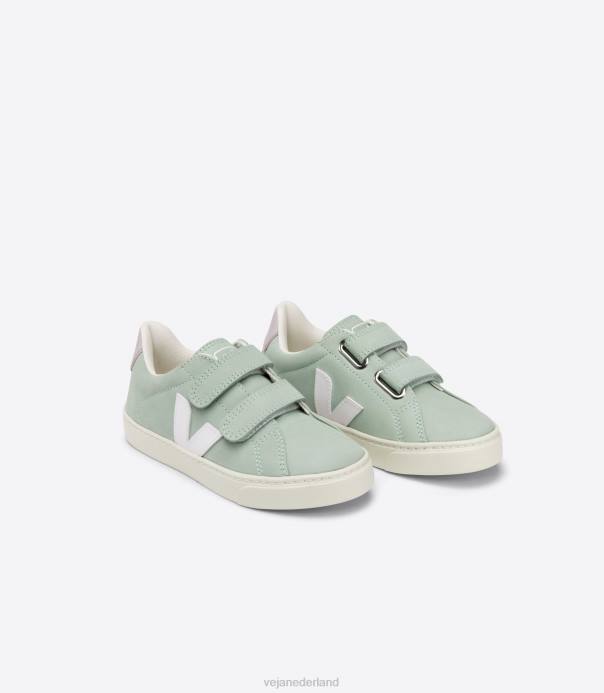 esplar nubuck matcha wit Veja 28X8340 kinderen schoenen
