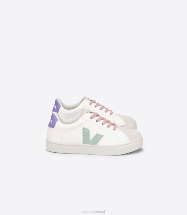 esplar veters chroomvrij leer wit matcha lavande Veja 28X8330 kinderen schoenen