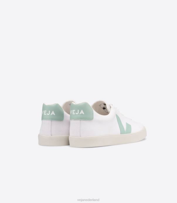 esplar se canvas witte matcha Veja 28X8244 vrouwen schoenen